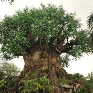 Meet your Posher, Tahiesha